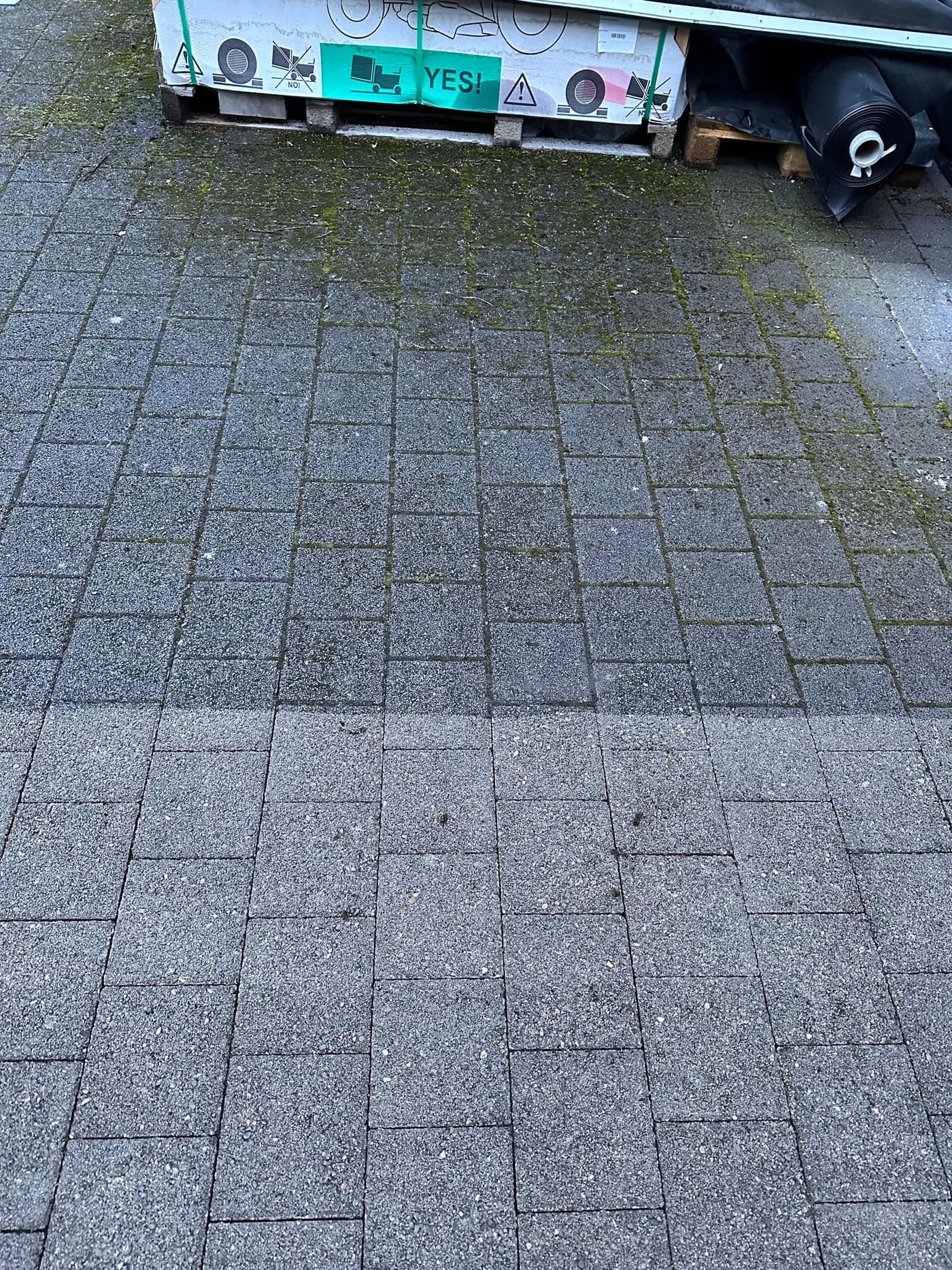 Pflaster mit starkem Moosbewuchs