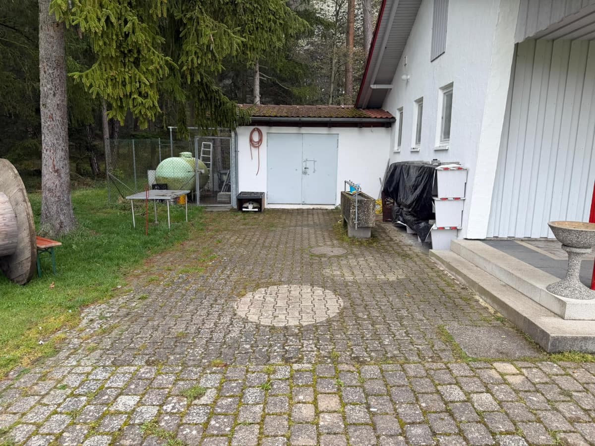 Gehweg vor der Reinigung – deutlicher Schlammbelag und Verschmutzungen